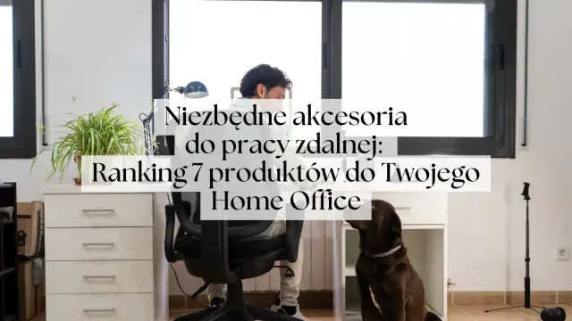 Spedytor home office: Czy praca zdalna w TSL jest dla Ciebie?