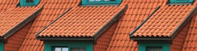 Ile zarabia dekarz za granicą? Zaskakujące różnice w wynagrodzeniach