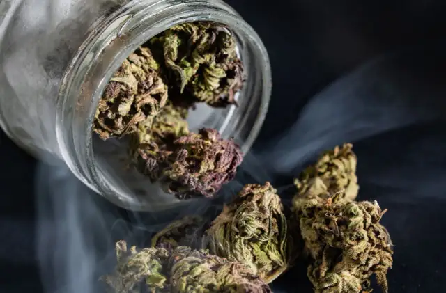 Marihuana: Prawda o uzależnieniu. Objawy, skutki, pomoc