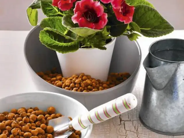 Jak używać nawilżacza? Praktyczny poradnik krok po kroku