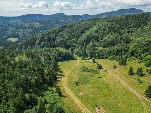 Głuszyca atrakcje, które zaskoczą każdego turystę w regionie