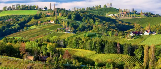 Najlepsza trasa do Wiednia - uniknij korków i ciesz się widokami