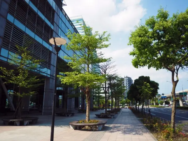 Jakie drzewa sadzić na osiedlach, aby uniknąć problemów z korzeniami?