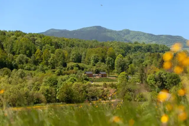 Góry Sowie – gdzie nocleg? Odkryj najlepsze opcje na wypoczynek