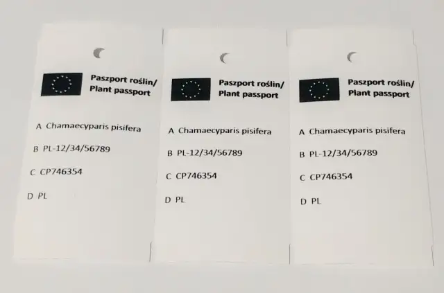 Ile kosztuje paszport roślin? Zaskakujące opłaty i wyjątki