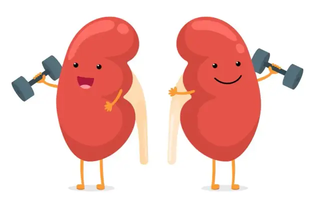 Podwyższona kreatynina: Co oznacza i jak skutecznie obniżyć?