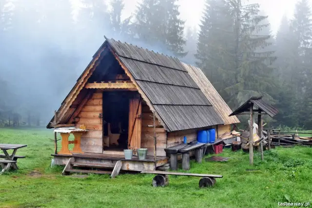 Bacówka na Krupówkach? Jak znaleźć prawdziwy oscypek w Zakopanem!