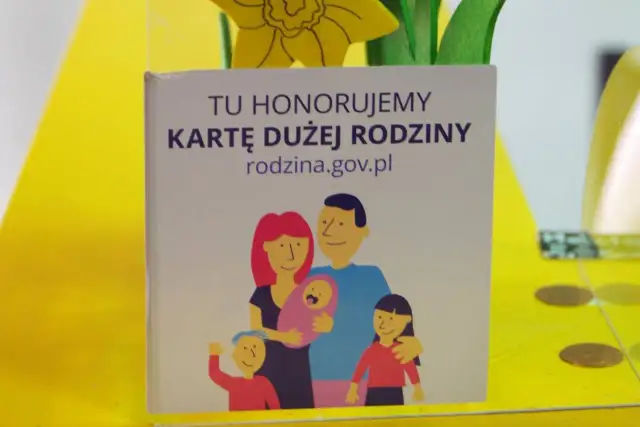 Czy karta dużej rodziny obniży Twój rachunek za prąd?