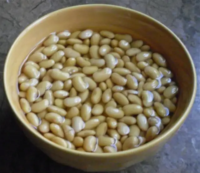 Czy moczyć fasolę przed sadzeniem? Odkryj korzyści i pułapki