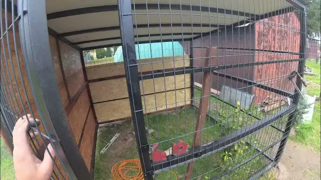 Jak zrobić kojec dla psa z paneli ogrodzeniowych – bezpieczne rozwiązania dla Twojego pupila