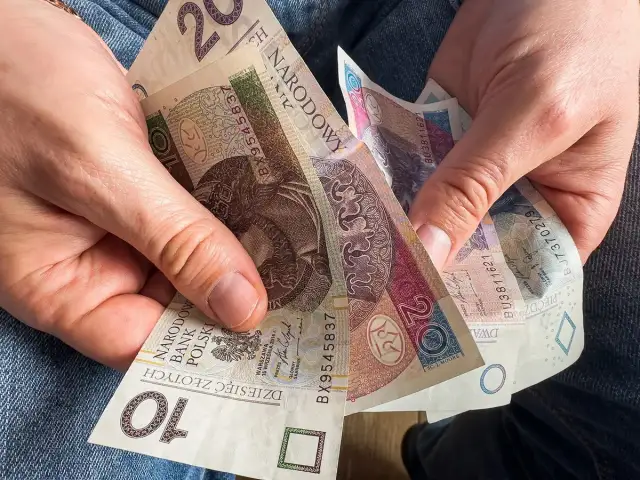 Kuroniówka po studiach? Sprawdź warunki i wsparcie z urzędu pracy