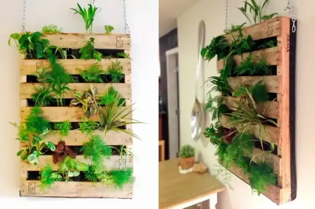 Zielona ściana DIY: Ogród wertykalny z palet i butelek poradnik