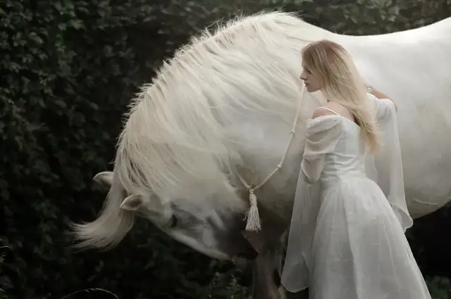 Percepcja kolorów u koni: Co widzą, a czego nie? Poradnik