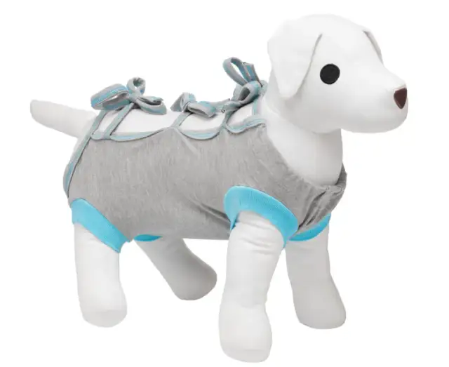 Ubranko pooperacyjne dla psa DIY: Zrób to sam i zadbaj o komfort pupila!