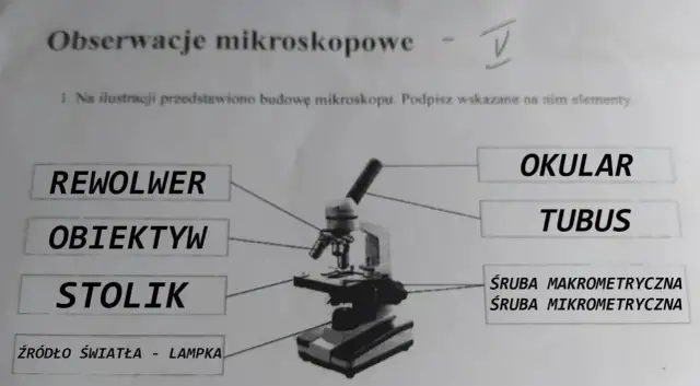 Obiektyw mikroskopu: kluczowe funkcje i zastosowania w mikroskopii
