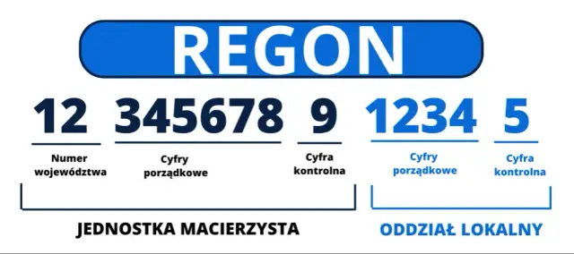 Jakie są różnice między numerem rejestracji firmy REGON a KRS?