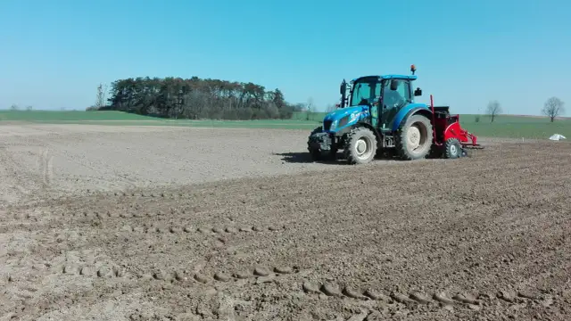 Kiedy siać zboże, aby uniknąć błędów i zapewnić udane plony