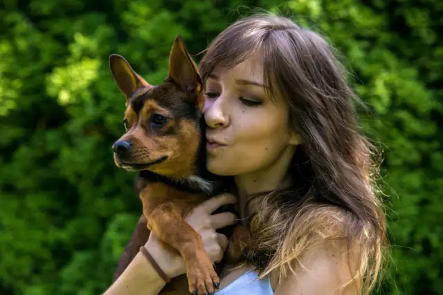 Mam psa i co teraz hotel - Bezpieczny wybór dla Twojego pupila w Poznaniu