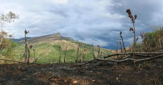 Gdzie w Afryce stosuje się rolnictwo żarowo-odłogowe i jego skutki