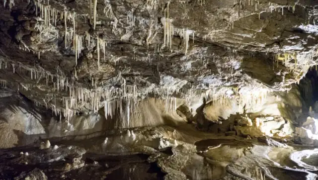 Jaskinia Niedźwiedzia w Sudetach: najważniejsze informacje dla turystów