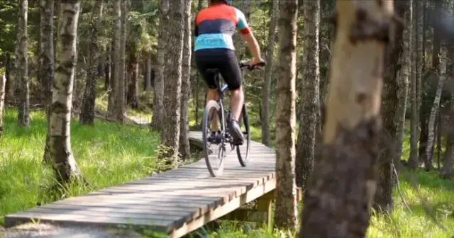 Kotlina Kłodzka: Rowerowy raj? Odkryj Singletrack Glacensis!