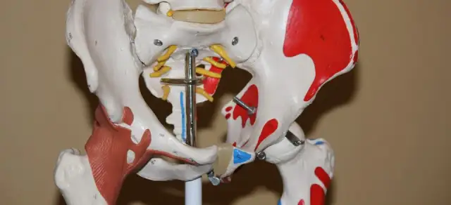 Jak długo trwa rehabilitacja po endoprotezie stawu biodrowego? Oczekiwania i fakty