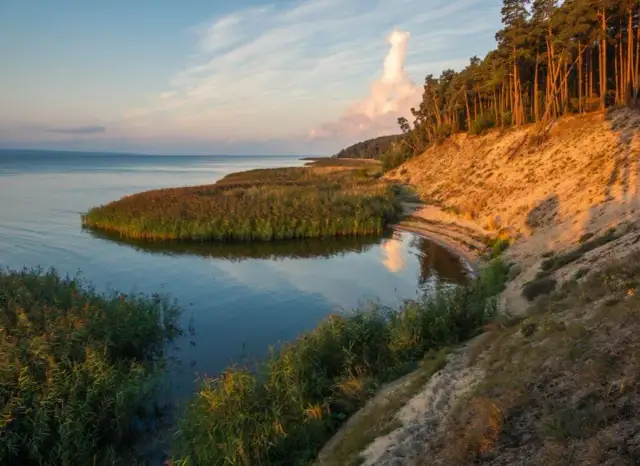 Krynica Morska czy warto? Odkryj atrakcje, które Cię zaskoczą
