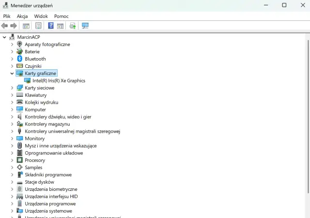 Menedżer urządzeń pokazuje, jak sprawdzić kartę graficzną. Widoczna jest lista urządzeń, w tym "Karty graficzne" z Intel(R) Iris(R) Xe Graphics.