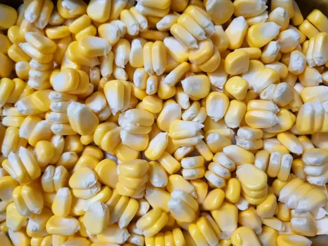 Zbliżenie na ziarna fermentowanej kukurydzy na ryby. Jasnożółte ziarna z białymi końcówkami tworzą gęstą, apetyczną masę.