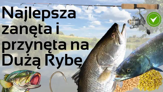 Skuteczna zanęta na ryby: przepisy i porady dla wędkarzy