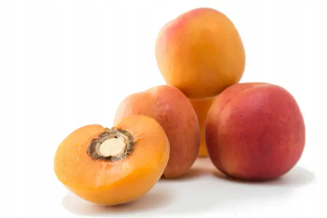 Kilka dojrzałych moreli, jedna przekrojona na pół, ukazująca pestkę. Poznaj fascynujące pestki moreli właściwości.