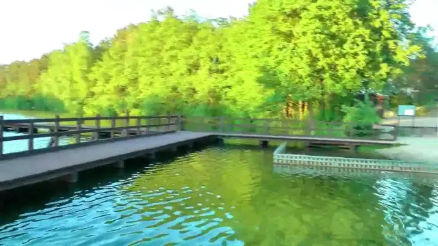 Jezioro Skrzynki Duże - odkryj ukryte atrakcje i rekreację w naturze