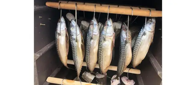 W jakiej temperaturze wędzimy ryby, aby uzyskać idealny smak?