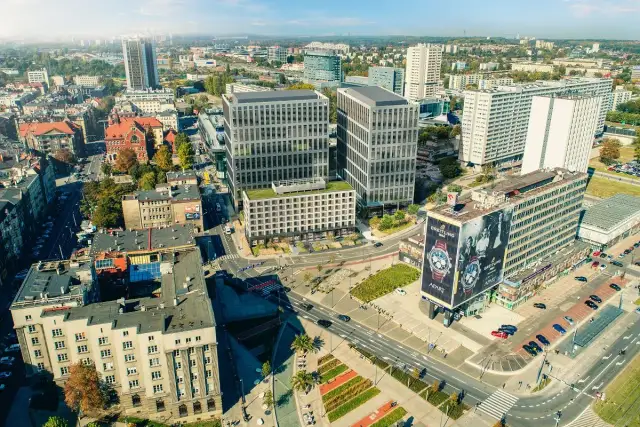 Hipologia i jeździectwo Katowice: Jak rozwijać pasję i karierę?