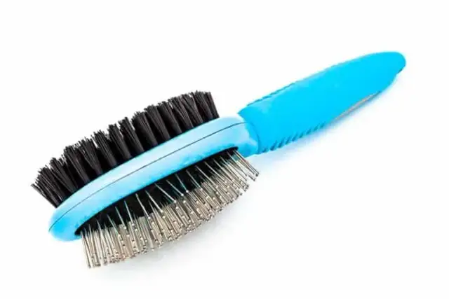 Jaka szczotka dla psa? Sekret lśniącej sierści i komfortu pupila!