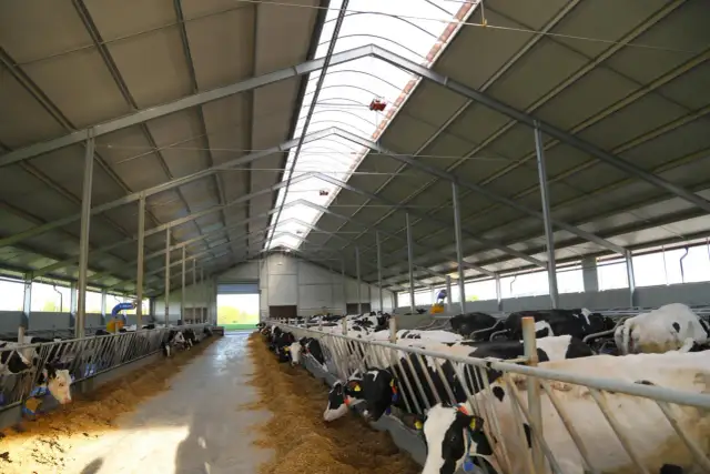 Tania obora dla bydła mięsnego - mądra inwestycja, realne oszczędności