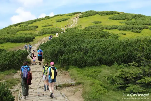Babia Góra: Który szlak wybrać? Twój przewodnik po Diablaku