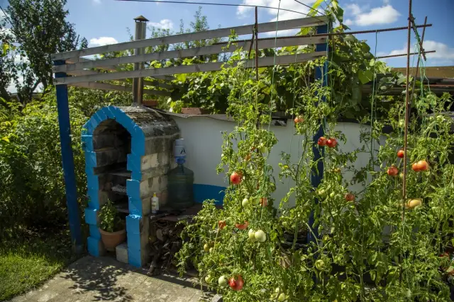 Jak wydzierżawić działkę od miasta bez problemów – krok po kroku i koszty