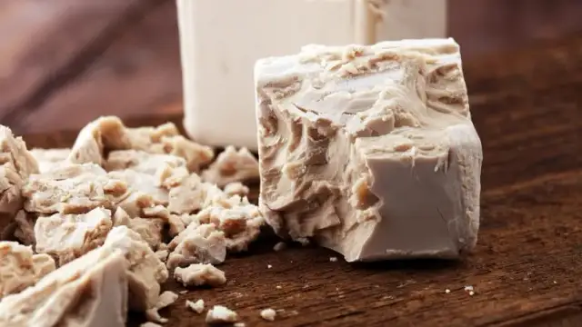 Czy drożdże są zdrowe: poznaj prawdę o ich wpływie na organizm