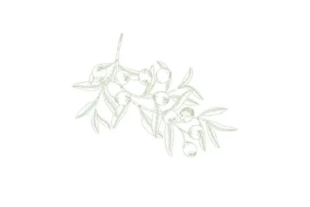 Jakie przyprawy do sałatki greckiej – odkryj sekrety smaku i aromatu