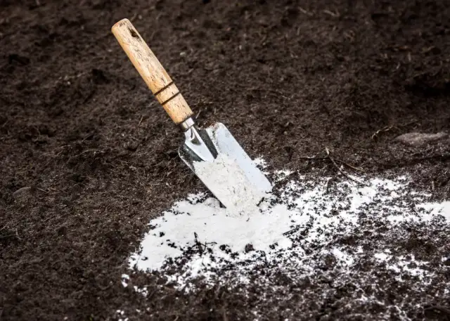 Jak stosować dolomit w ogrodzie: 9 kluczowych zasad sukcesu