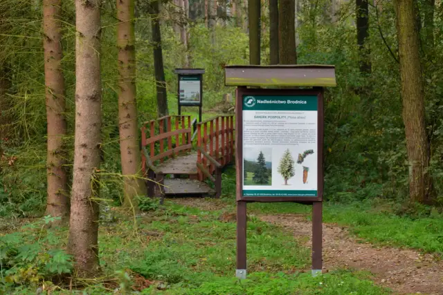 Ścieżka edukacyjna co to jest i jak może zmienić twoją naukę