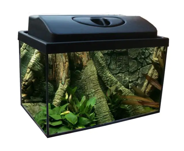 Gdzie kupić akwarium? Najlepsze miejsca i porady na zakupy