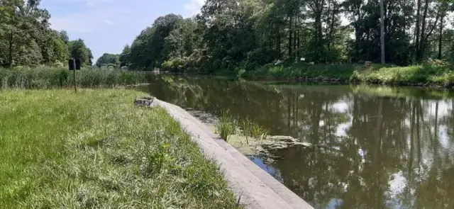 Atrakcje w Szubinie: Odkryj ukryte skarby i ciekawe miejsca