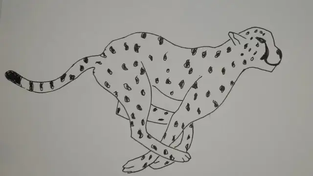 Jak narysować geparda dla dzieci w prosty i zabawny sposób