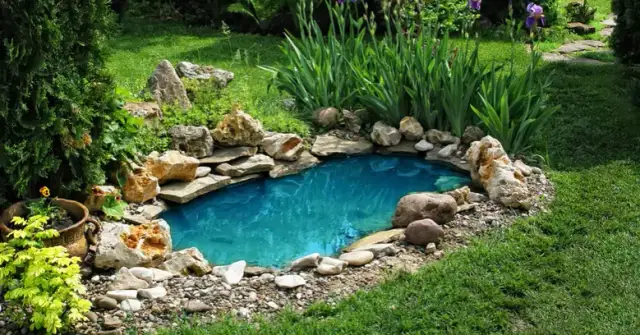 Ile kosztuje budowa oczka wodnego? Poznaj ukryte wydatki i oszczędności