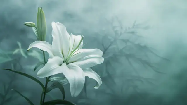 Lilia: Co oznacza ten kwiat w symbolice i jaką ma moc duchową?