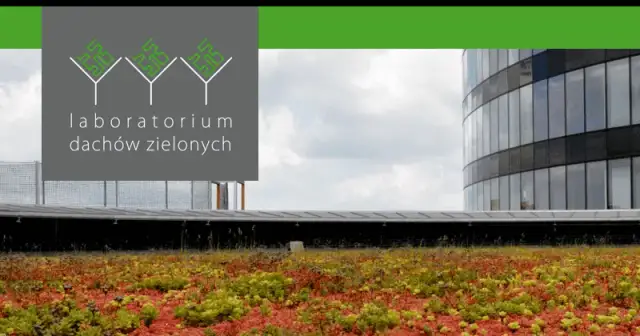 Zielone dachy: jak uniknąć wysokich kosztów i zyskać korzyści ekologiczne