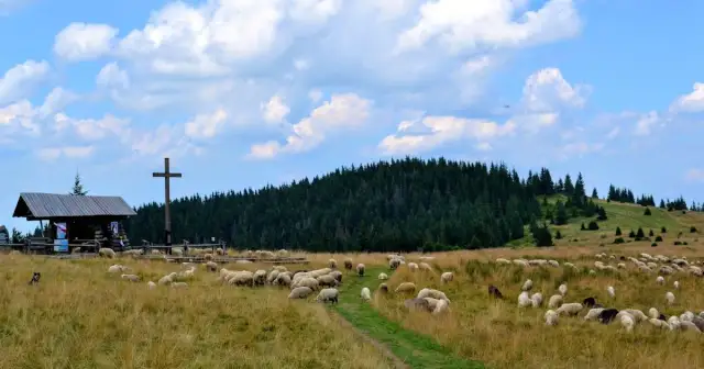 Trasa z Starych Wierchów na Turbacz: piękne widoki i łatwy szlak