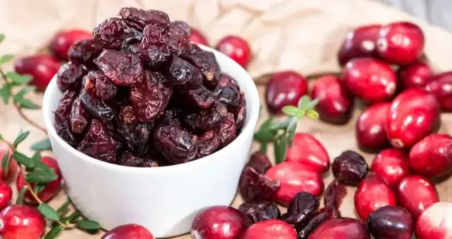 Czy pies może jeść żurawinę? Poznaj korzyści i zagrożenia